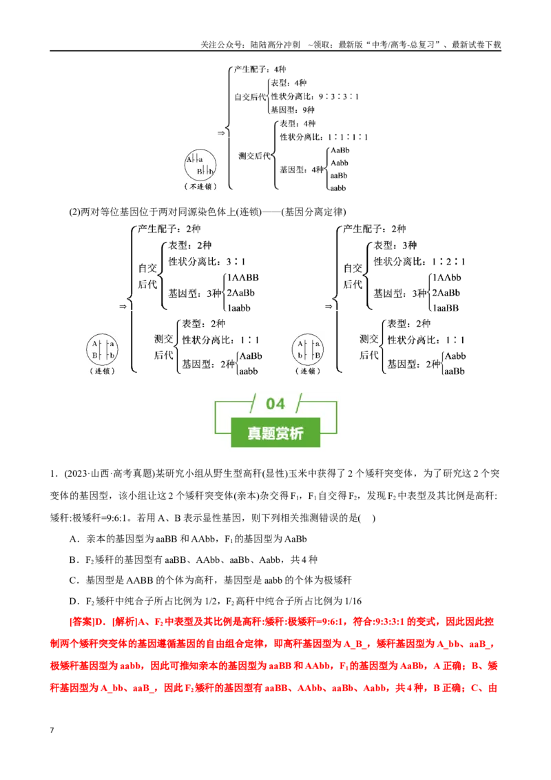 《知识清单12基因自由组合定律（4大考点+3个易错点）_06-生物-高考总复习_一轮复习_2025年_2025年高考生物一轮复习知识清单（全国通用）》第7页预览