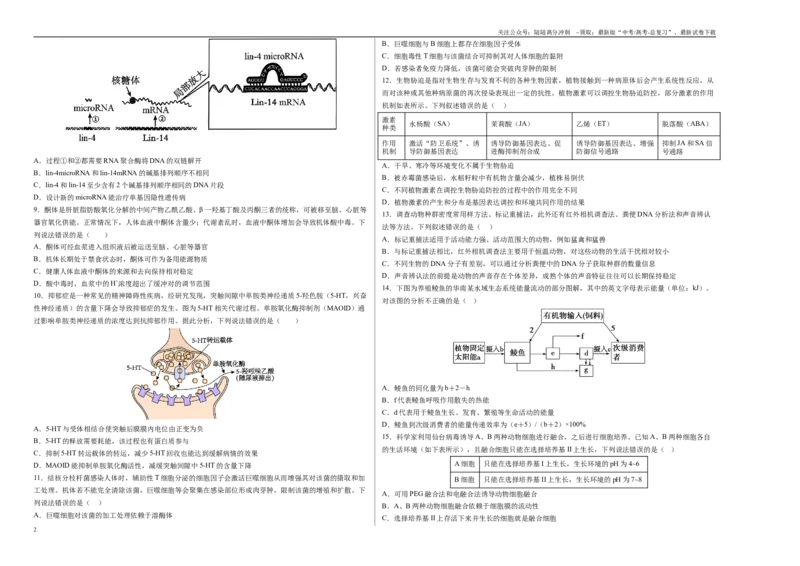 《生物（河南卷）（考试版A3）_06-生物-高考总复习_专项复习_2025年_2025年高考第一二三次模拟卷（多地区）生物_2025年高考生物第二次模拟卷26套_生物（河南卷）》第2页预览