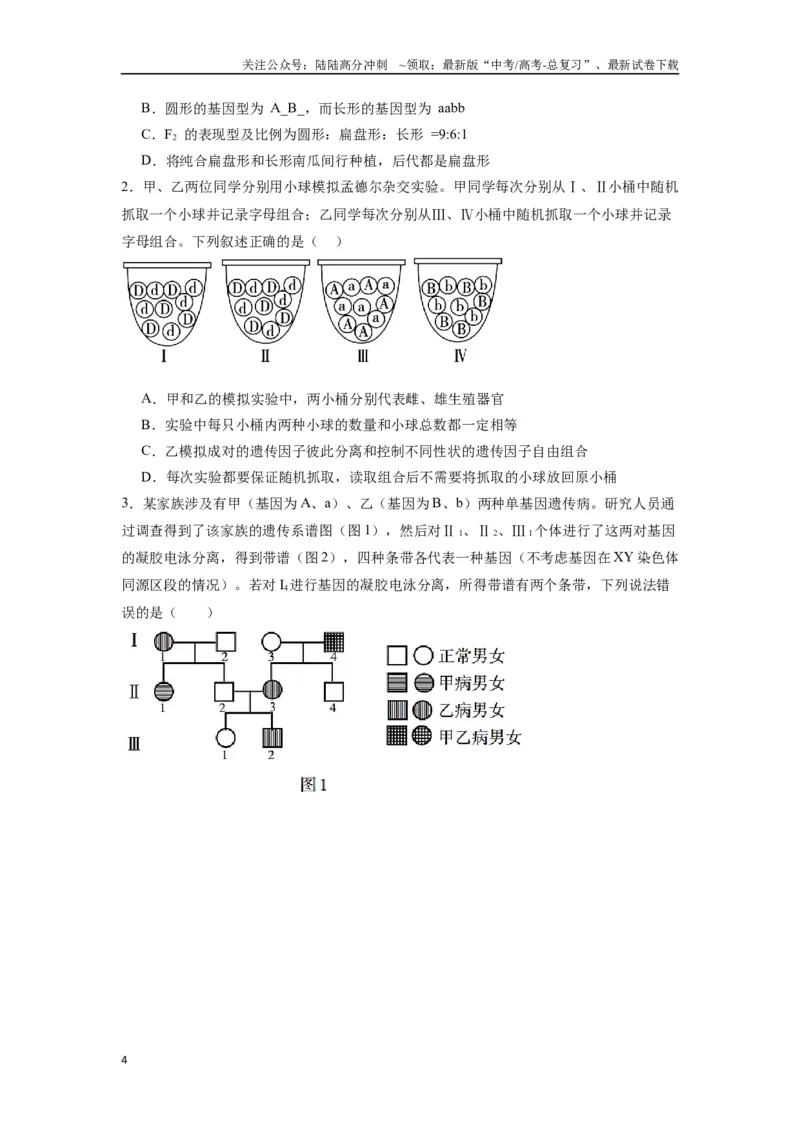 《专题12基因的自由组合定律（原卷版）_06-生物-高考总复习_专项复习_2024年_2024年高考生物经典小题必刷_资料》第4页预览