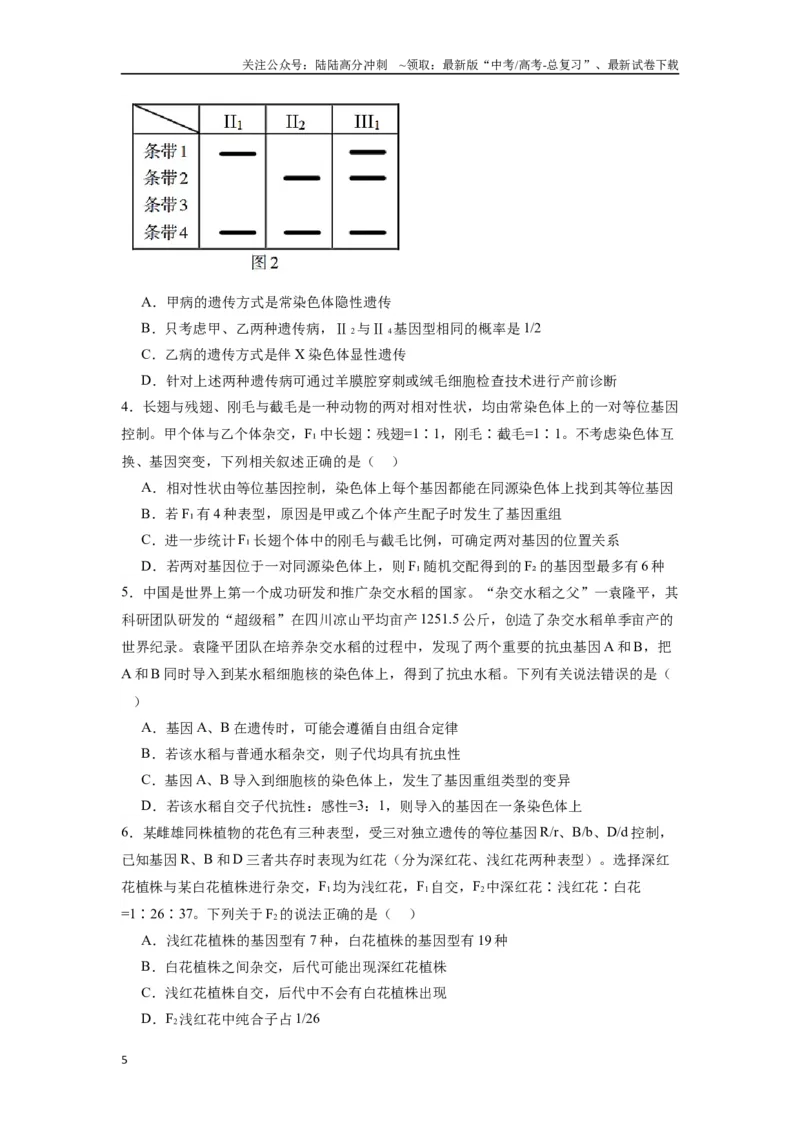 《专题12基因的自由组合定律（原卷版）_06-生物-高考总复习_专项复习_2024年_2024年高考生物经典小题必刷_资料》第5页预览