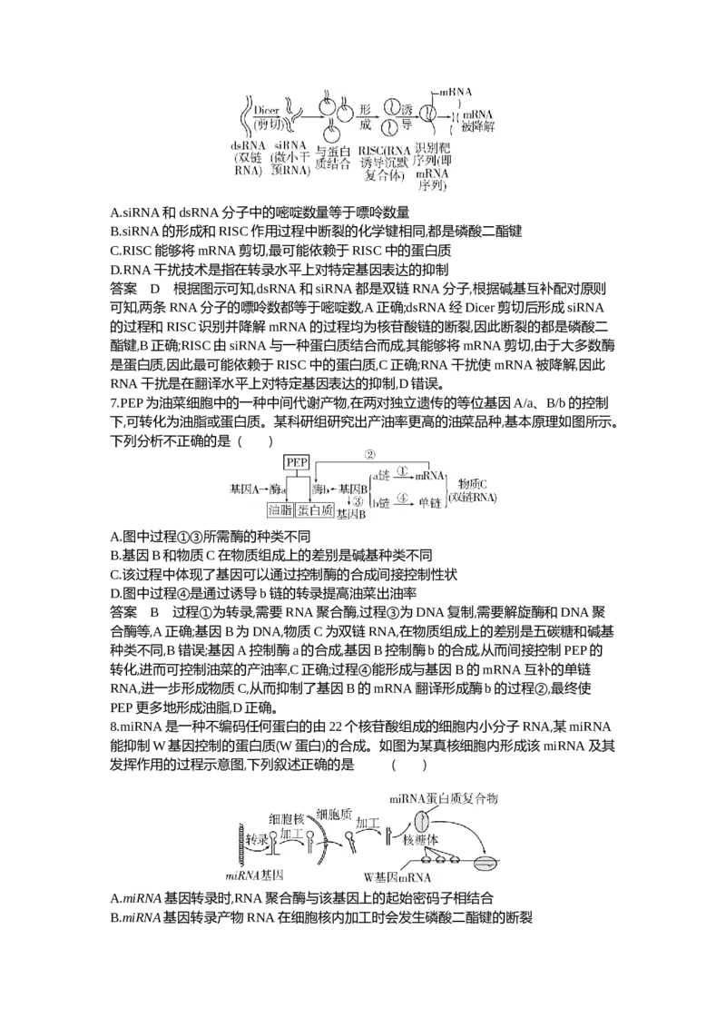 《1_10-专题十遗传的分子基础_2024版教学资源包_2024版.新高考版生物.5·3A版_10_专题十遗传的分子基础_6_专题检测》第3页预览