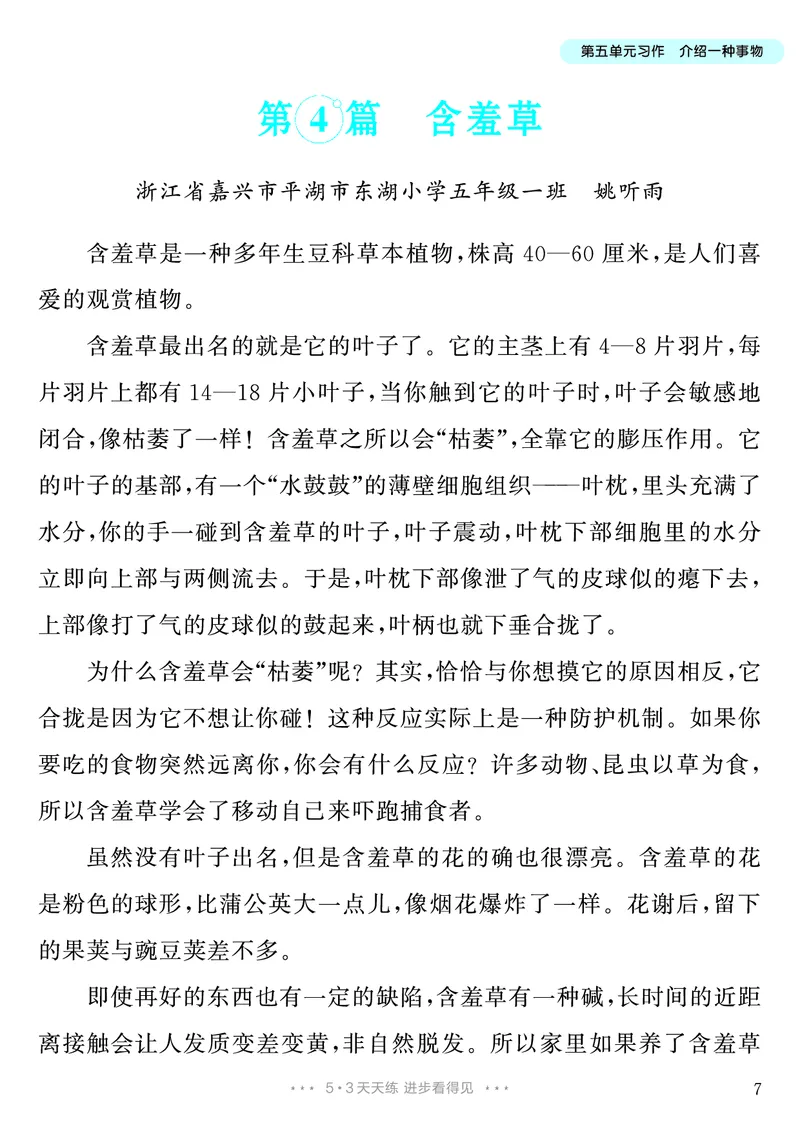 《第5单元习作：介绍一种事物_26秋小学初中各机构教辅大合集（一本、教材帮、阳光同学、王朝霞、实验班、小典中点、上分卷、白欧、课堂笔记等等）_26秋小学教辅资料_5年级上册》第8页预览