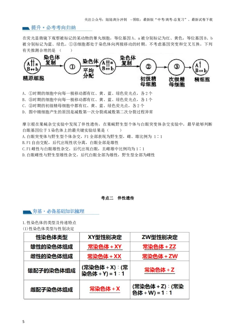 《第18讲伴性遗传和人类遗传病（讲义）（学生版）_06-生物-高考总复习_一轮复习_2024年_2024年高考生物一轮复习讲练测(课件+讲义+练习)（新高考）_讲义+练习》第5页预览