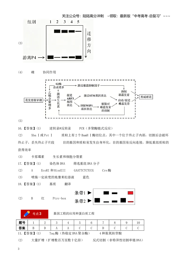 《专题13基因工程（答案版）_06-生物-高考总复习_专项复习_2026年-生物高考专项复习_2026年高考生物一模试题分类汇编（新高考通用）-G178_2026版》第3页预览