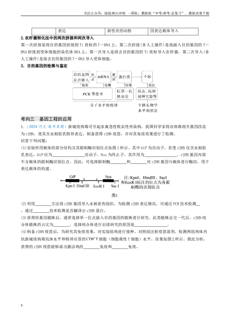 《专题12基因工程（新高考通用）（学生版）_06-生物-高考总复习_专项复习_2025年_2025年高考生物真题题源解密（新高考通用）》第5页预览