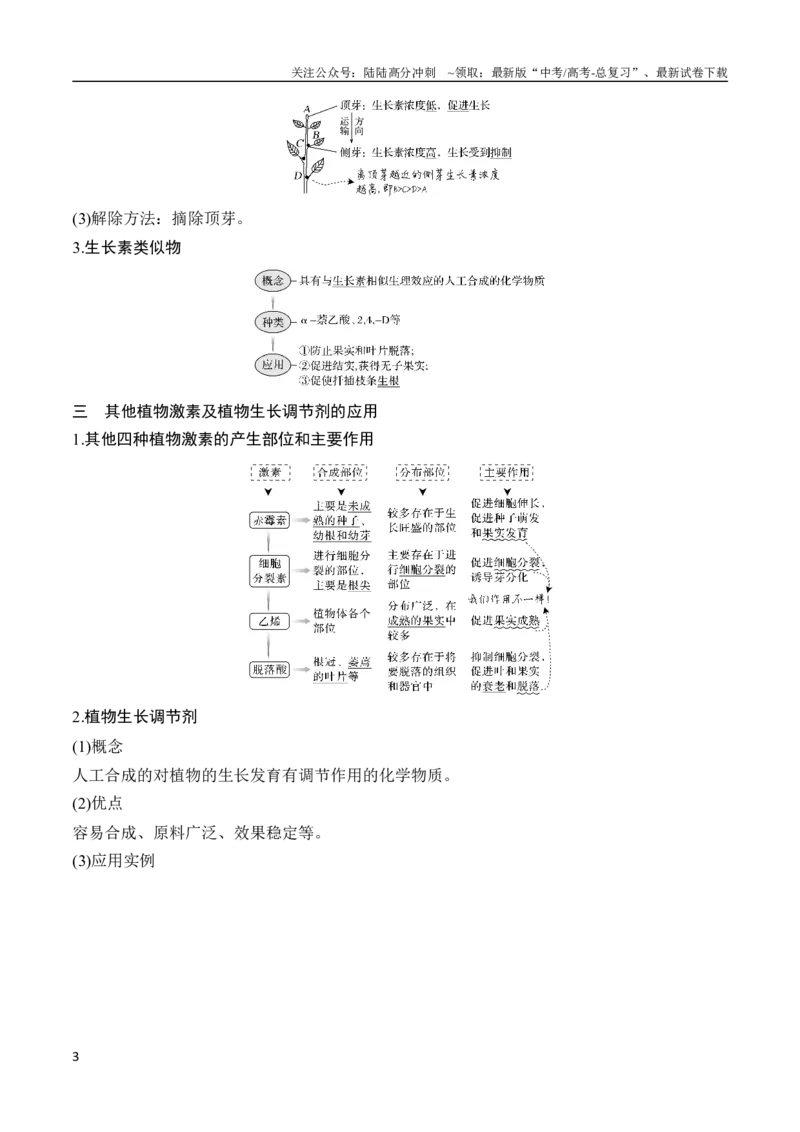 《专题11植物激素（教师版）_06-生物-高考总复习_专项复习_2024年_2024年高考生物总复习核心题型解读与全攻略新教材_资料》第3页预览