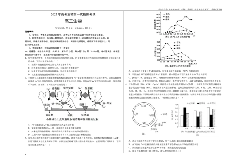 《生物（广东卷02）（考试版A3）_06-生物-高考总复习_专项复习_2025年_2025年高考第一二三次模拟卷（多地区）生物_2025年高考生物第一次模拟卷24套》第1页预览