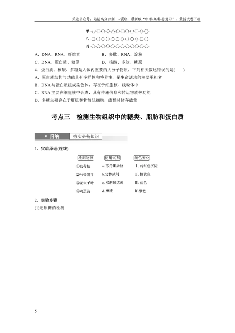 《第1单元　第4课时　核酸是遗传信息的携带者、有机物的鉴定_06-生物-高考总复习_一轮复习_2024年_2024高考生物大一轮复习课件讲义新人教版知识总结_学生版在此文件夹_大一轮复习讲义》第5页预览
