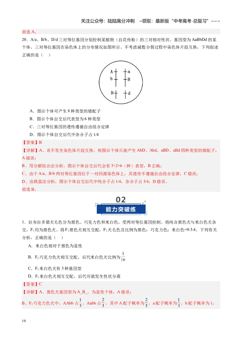 《第16讲自由组合定律（专项训练）（四川专用）（教师版）_06-生物-高考总复习_一轮复习_2026年-生物高考一轮复习_2026年高考生物一轮课件+讲义+练习（四川专用）-G335》第10页预览