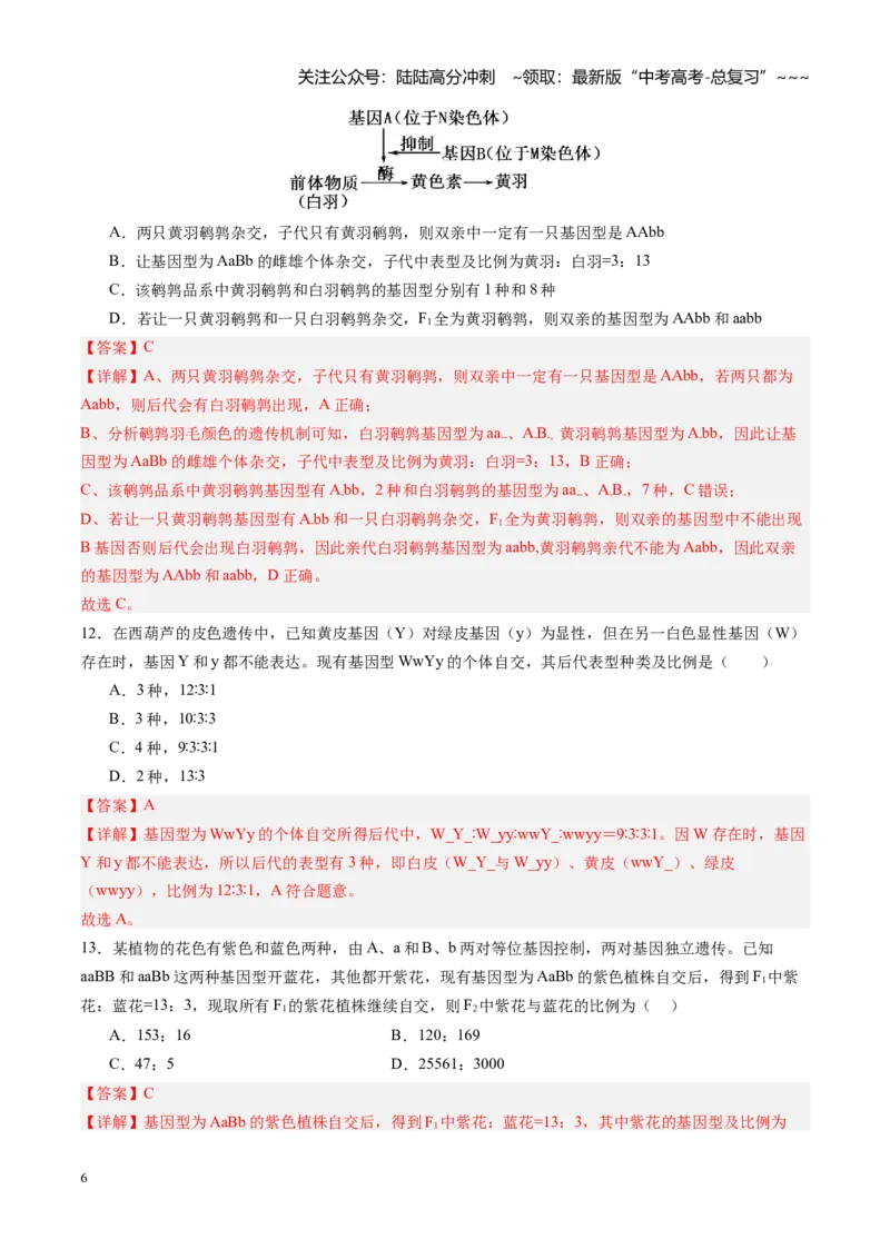 《第16讲自由组合定律（专项训练）（四川专用）（教师版）_06-生物-高考总复习_一轮复习_2026年-生物高考一轮复习_2026年高考生物一轮课件+讲义+练习（四川专用）-G335》第6页预览