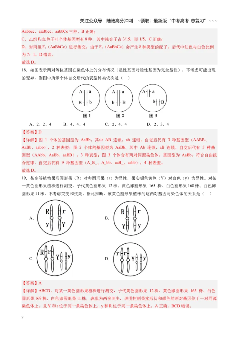 《第16讲自由组合定律（专项训练）（四川专用）（教师版）_06-生物-高考总复习_一轮复习_2026年-生物高考一轮复习_2026年高考生物一轮课件+讲义+练习（四川专用）-G335》第9页预览