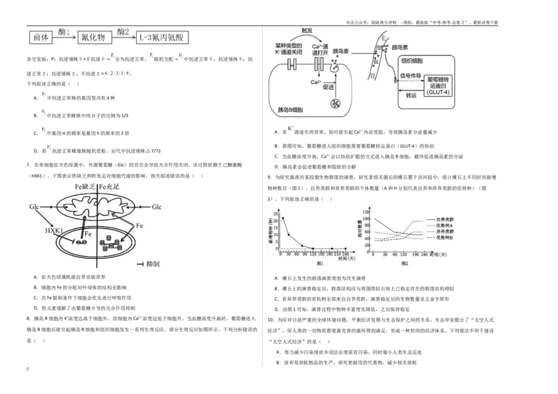 《生物（河北卷03）（考试版A3）_06-生物-高考总复习_专项复习_2025年_2025年高考押题预测卷（多地区）生物》第2页预览