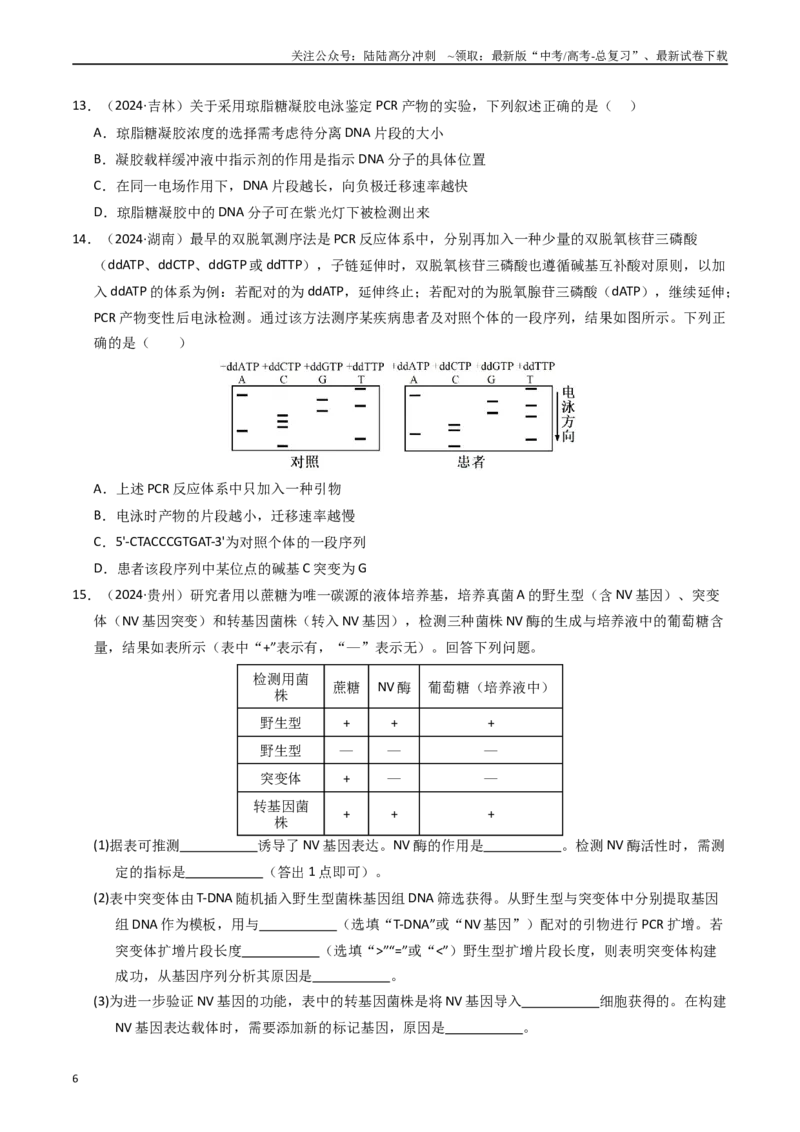 《专题18基因工程（原卷版）_06-生物-高考总复习_专项复习_2025年_五年2020-2024高考真题分类汇编生物真题分类汇编（全国通用）》第6页预览