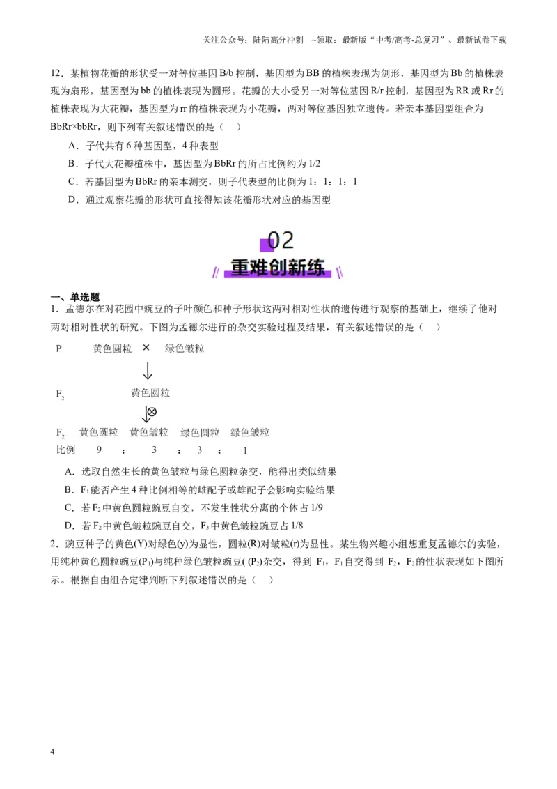 《第16讲自由组合定律（第一课时）（练习）（学生版）_06-生物-高考总复习_一轮复习_2025年_2025年新高考生物一轮复习讲义PPT知识点习题训_资料_第五单元基因的传递规律》第4页预览