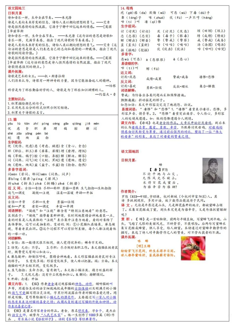 《_4年级下册同步教辅_四下语文_四下语文句子+词语_四年级（下）语文课课贴语文园地-》第5页预览