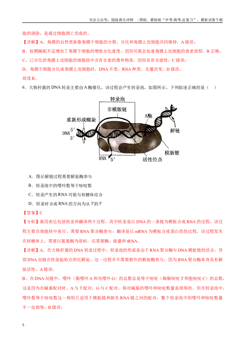 《生物（贵州卷）（全解全析）_06-生物-高考总复习_专项复习_2025年_2025年高考第一二三次模拟卷（多地区）生物_2025年高考生物第三次模拟考试21套_生物（贵州卷）》第5页预览