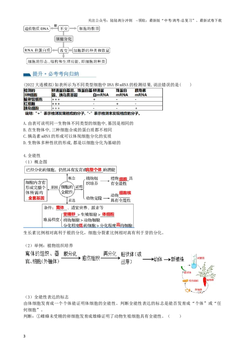 《第14讲细胞的分化、衰老、死亡和癌变（讲义）（学生版）_06-生物-高考总复习_一轮复习_2024年_2024年高考生物一轮复习讲练测(课件+讲义+练习)（新高考）_讲义+练习》第3页预览
