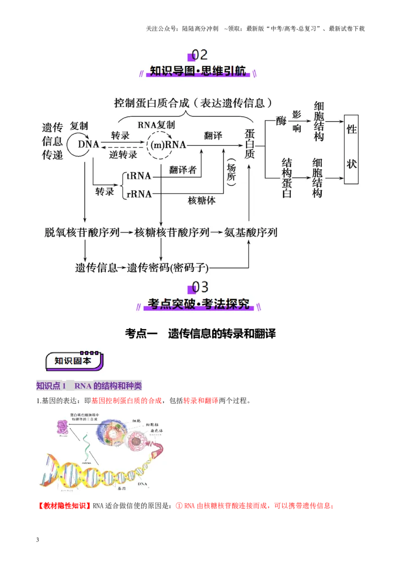 《第21讲基因的表达、基因与性状的关系（讲义）（学生版）_06-生物-高考总复习_一轮复习_2025年_2025年新高考生物一轮复习讲义PPT知识点习题训_资料_第六单元遗传的分子基础》第3页预览