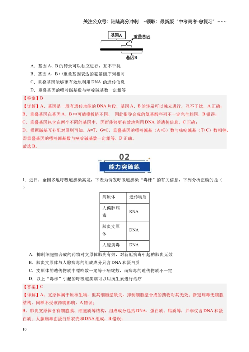 《第20讲DNA分子的结构、复制与基因的本质（专项训练）（四川专用）（教师版）_06-生物-高考总复习_一轮复习_2026年-生物高考一轮复习_2026年高考生物一轮课件+讲义+练习（四川专用）-G335》第10页预览