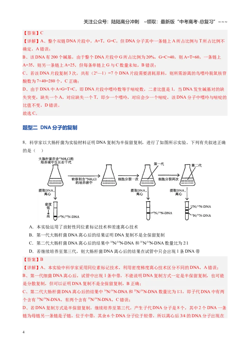 《第20讲DNA分子的结构、复制与基因的本质（专项训练）（四川专用）（教师版）_06-生物-高考总复习_一轮复习_2026年-生物高考一轮复习_2026年高考生物一轮课件+讲义+练习（四川专用）-G335》第4页预览