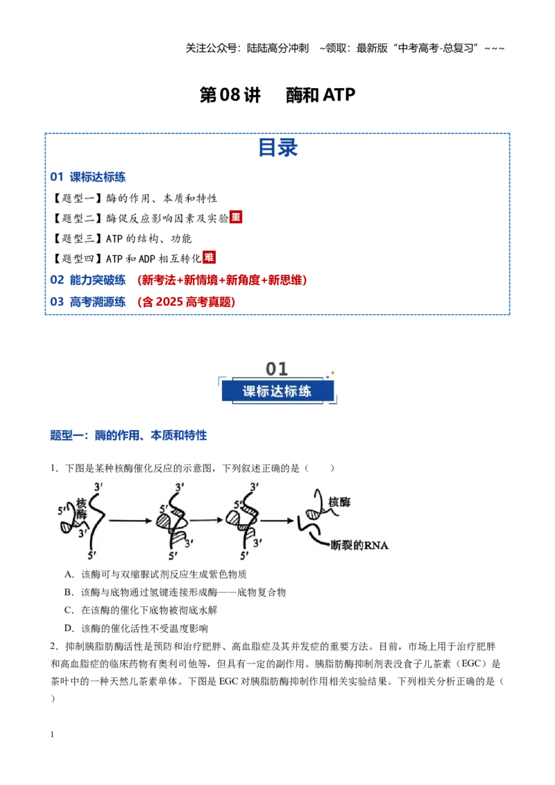《第08讲酶和ATP（专项训练）（黑吉辽蒙专用）（学生版）_06-生物-高考总复习_一轮复习_2026年-生物高考一轮复习_2026年高考生物一轮课件+讲义+练习（黑吉辽蒙专用）-G330》第1页预览