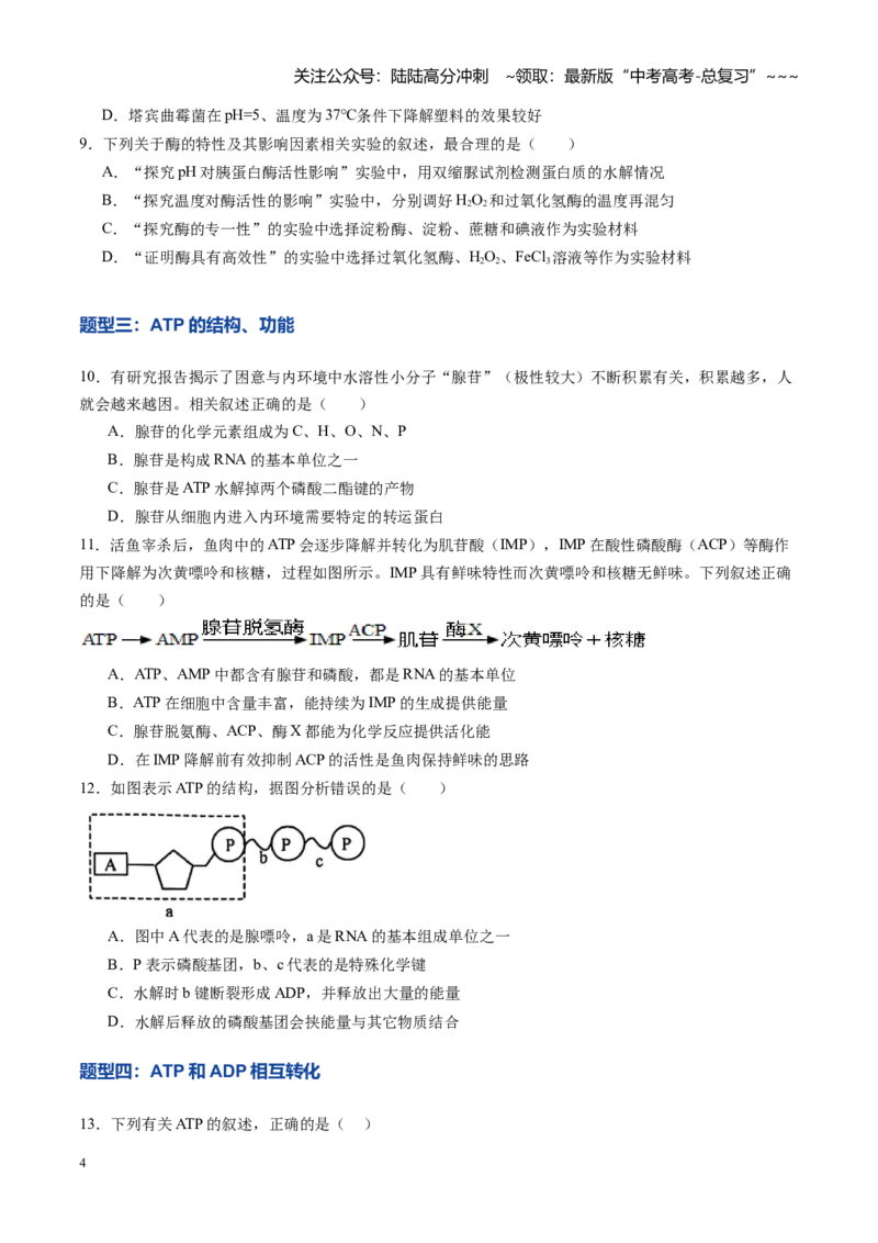 《第08讲酶和ATP（专项训练）（黑吉辽蒙专用）（学生版）_06-生物-高考总复习_一轮复习_2026年-生物高考一轮复习_2026年高考生物一轮课件+讲义+练习（黑吉辽蒙专用）-G330》第4页预览