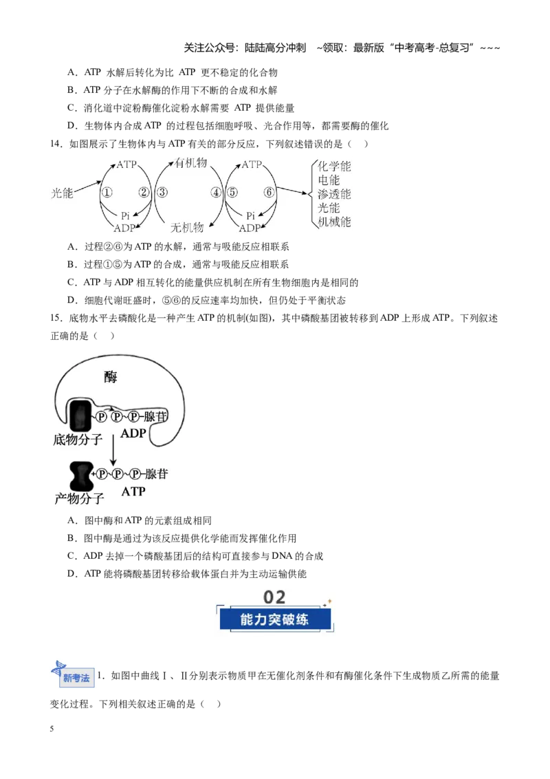 《第08讲酶和ATP（专项训练）（黑吉辽蒙专用）（学生版）_06-生物-高考总复习_一轮复习_2026年-生物高考一轮复习_2026年高考生物一轮课件+讲义+练习（黑吉辽蒙专用）-G330》第5页预览