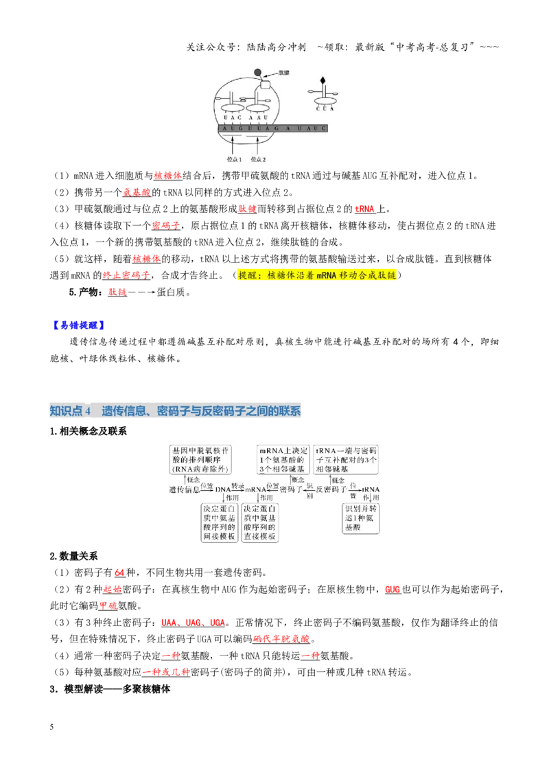 《第21讲基因的表达、基因与性状的关系（复习讲义）（全国通用）（教师版）_06-生物-高考总复习_一轮复习_2026年-生物高考一轮复习_2026版_第六单元遗传的分子基础》第5页预览