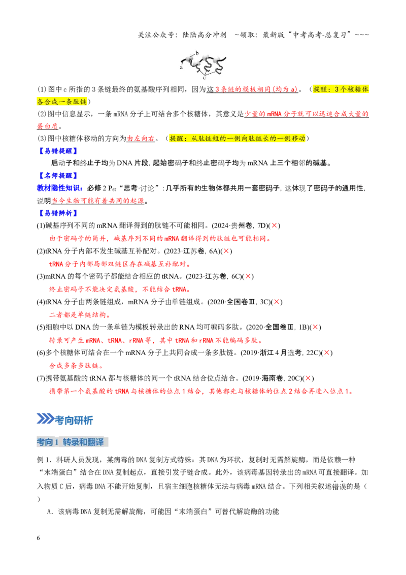 《第21讲基因的表达、基因与性状的关系（复习讲义）（全国通用）（教师版）_06-生物-高考总复习_一轮复习_2026年-生物高考一轮复习_2026版_第六单元遗传的分子基础》第6页预览