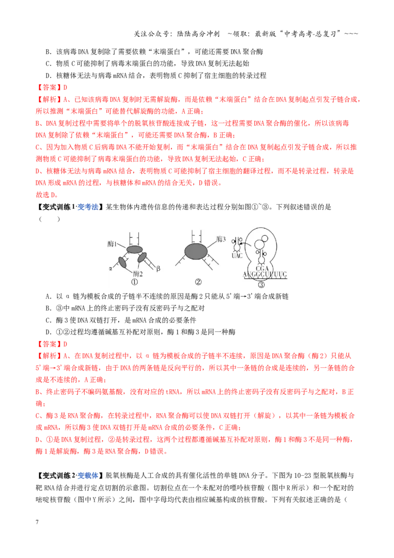 《第21讲基因的表达、基因与性状的关系（复习讲义）（全国通用）（教师版）_06-生物-高考总复习_一轮复习_2026年-生物高考一轮复习_2026版_第六单元遗传的分子基础》第7页预览