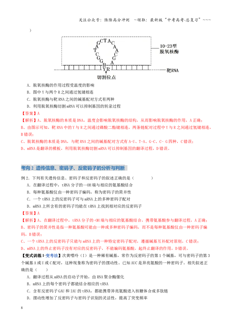 《第21讲基因的表达、基因与性状的关系（复习讲义）（全国通用）（教师版）_06-生物-高考总复习_一轮复习_2026年-生物高考一轮复习_2026版_第六单元遗传的分子基础》第8页预览