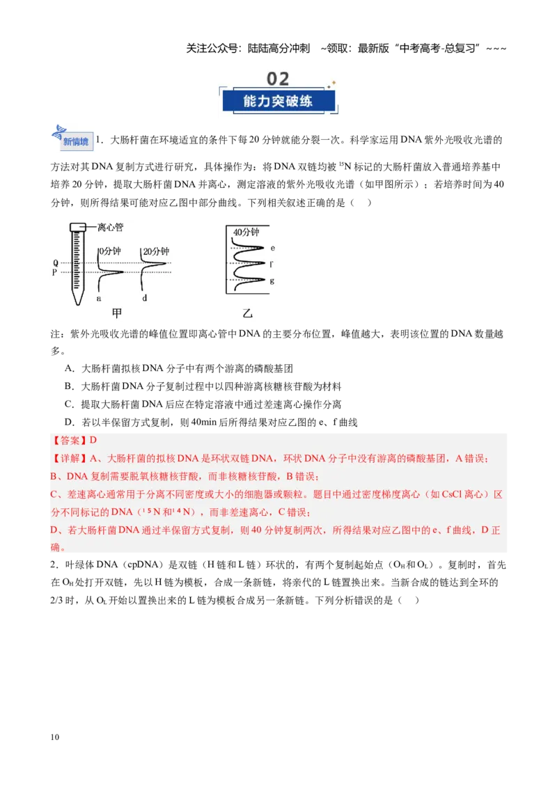 《第21讲DNA分子的结构、复制和基因的本质（专项训练）（福建专用）（教师版）_06-生物-高考总复习_一轮复习_2026年-生物高考一轮复习_2026年高考生物一轮课件+讲义+练习（福建专用）-G328》第10页预览