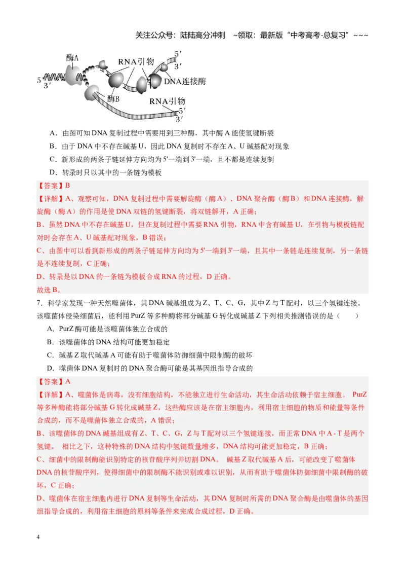 《第21讲DNA分子的结构、复制和基因的本质（专项训练）（福建专用）（教师版）_06-生物-高考总复习_一轮复习_2026年-生物高考一轮复习_2026年高考生物一轮课件+讲义+练习（福建专用）-G328》第4页预览