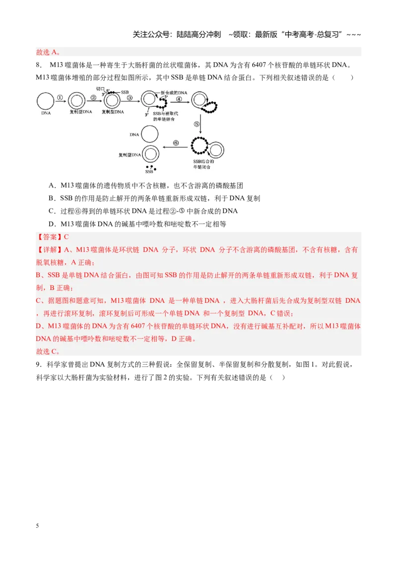《第21讲DNA分子的结构、复制和基因的本质（专项训练）（福建专用）（教师版）_06-生物-高考总复习_一轮复习_2026年-生物高考一轮复习_2026年高考生物一轮课件+讲义+练习（福建专用）-G328》第5页预览