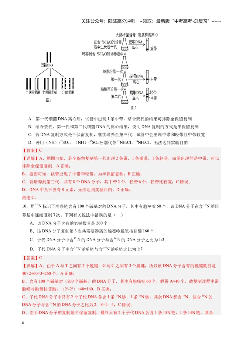 《第21讲DNA分子的结构、复制和基因的本质（专项训练）（福建专用）（教师版）_06-生物-高考总复习_一轮复习_2026年-生物高考一轮复习_2026年高考生物一轮课件+讲义+练习（福建专用）-G328》第6页预览