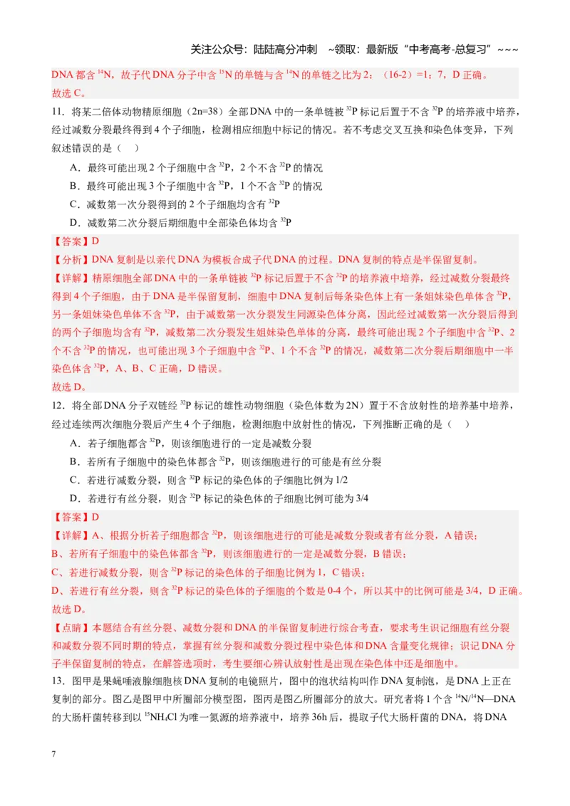 《第21讲DNA分子的结构、复制和基因的本质（专项训练）（福建专用）（教师版）_06-生物-高考总复习_一轮复习_2026年-生物高考一轮复习_2026年高考生物一轮课件+讲义+练习（福建专用）-G328》第7页预览