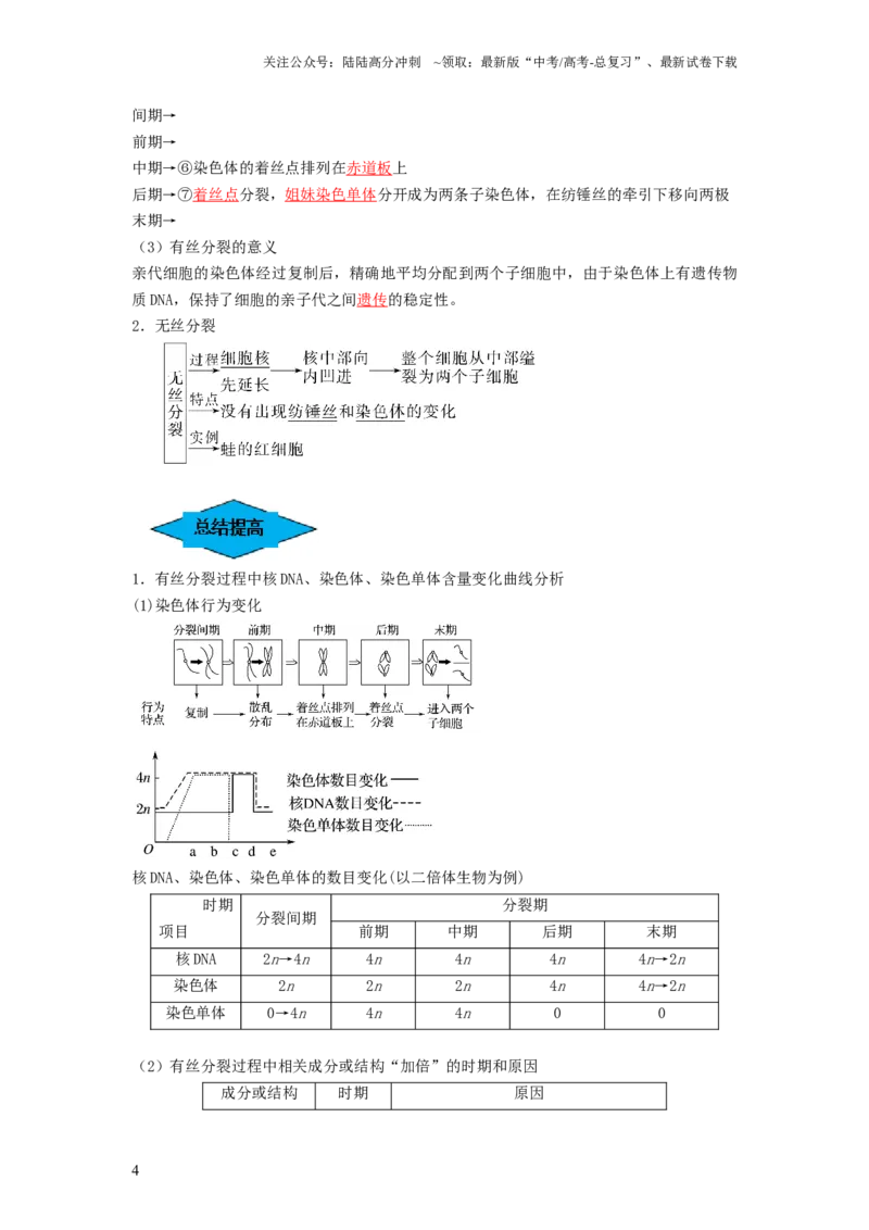 《专题11细胞的增殖（串讲）（解析版）_06-生物-高考总复习_一轮复习_2024年_2024年高考生物一轮复习串讲精练知识点梳理练习题_串讲》第4页预览