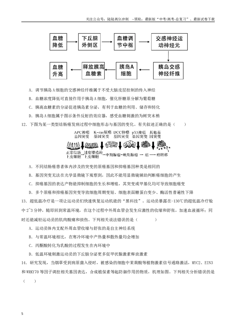 《生物（湖北卷02）（考试版）_06-生物-高考总复习_专项复习_2025年_2025年高考押题预测卷（多地区）生物》第5页预览