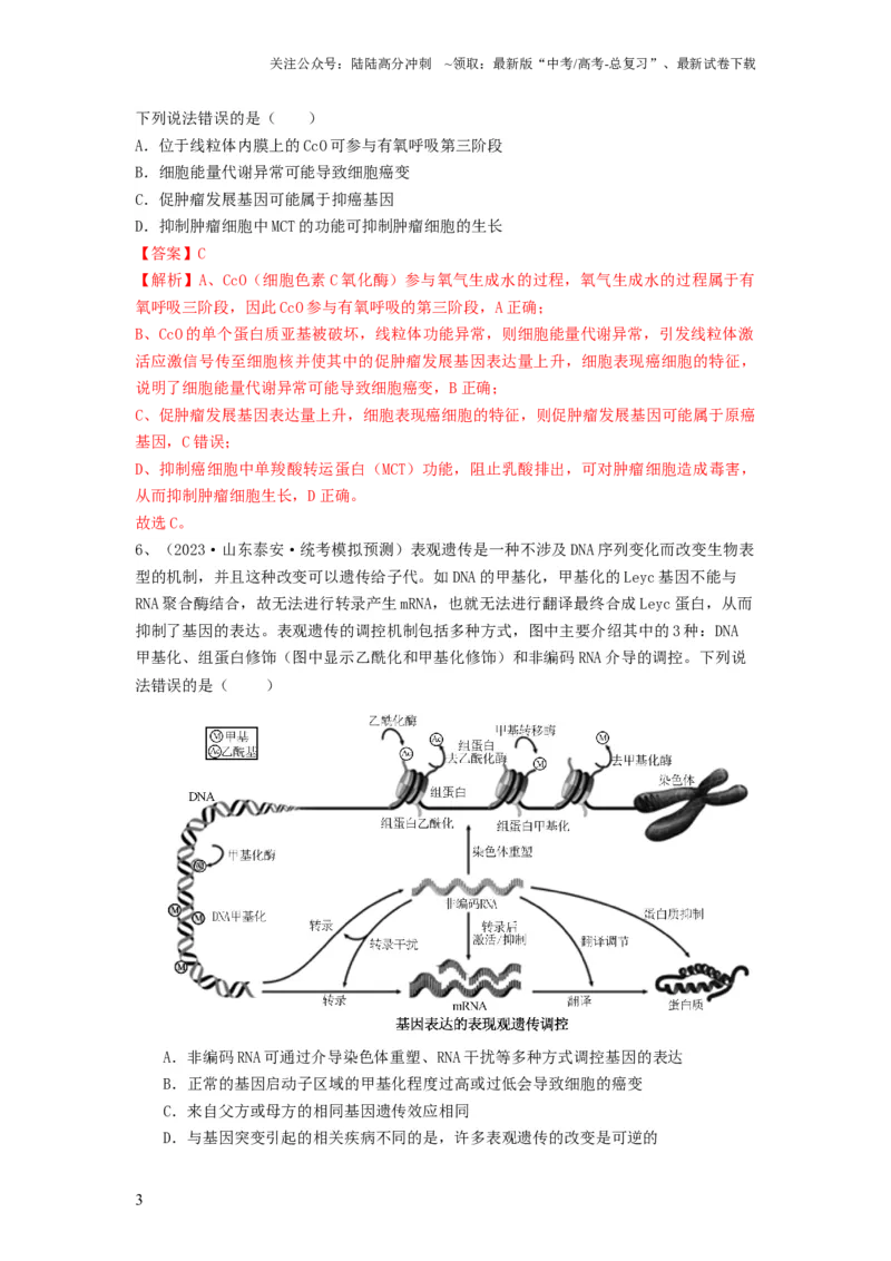 《专题20基因突变和基因重组（精练）（解析版）_06-生物-高考总复习_一轮复习_2024年_2024年高考生物一轮复习串讲精练知识点梳理练习题_精练》第3页预览