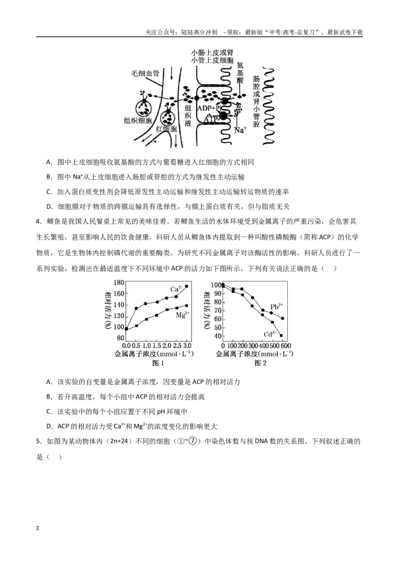 《生物（河北卷）（考试版）_06-生物-高考总复习_专项复习_2025年_2025年高考第一二三次模拟卷（多地区）生物_2025年高考生物第三次模拟考试21套_生物（河北卷）》第2页预览