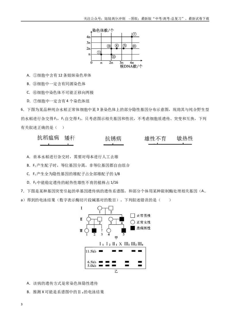 《生物（河北卷）（考试版）_06-生物-高考总复习_专项复习_2025年_2025年高考第一二三次模拟卷（多地区）生物_2025年高考生物第三次模拟考试21套_生物（河北卷）》第3页预览