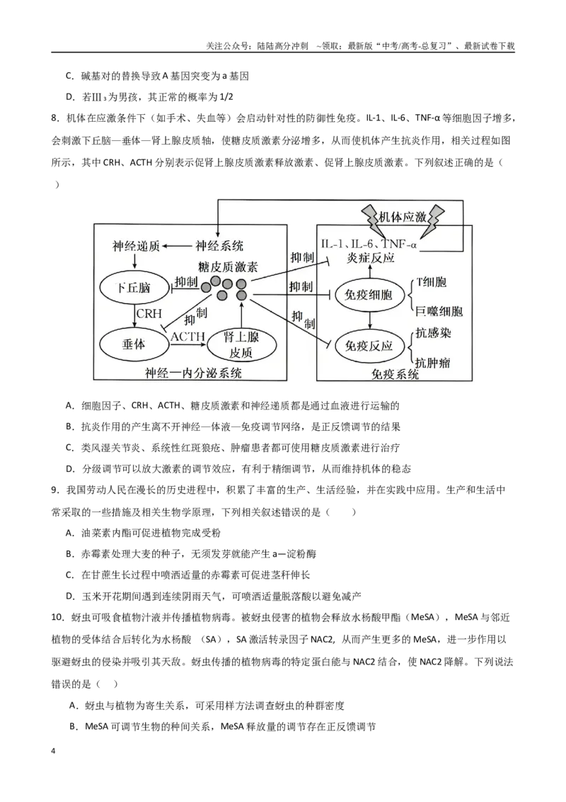 《生物（河北卷）（考试版）_06-生物-高考总复习_专项复习_2025年_2025年高考第一二三次模拟卷（多地区）生物_2025年高考生物第三次模拟考试21套_生物（河北卷）》第4页预览