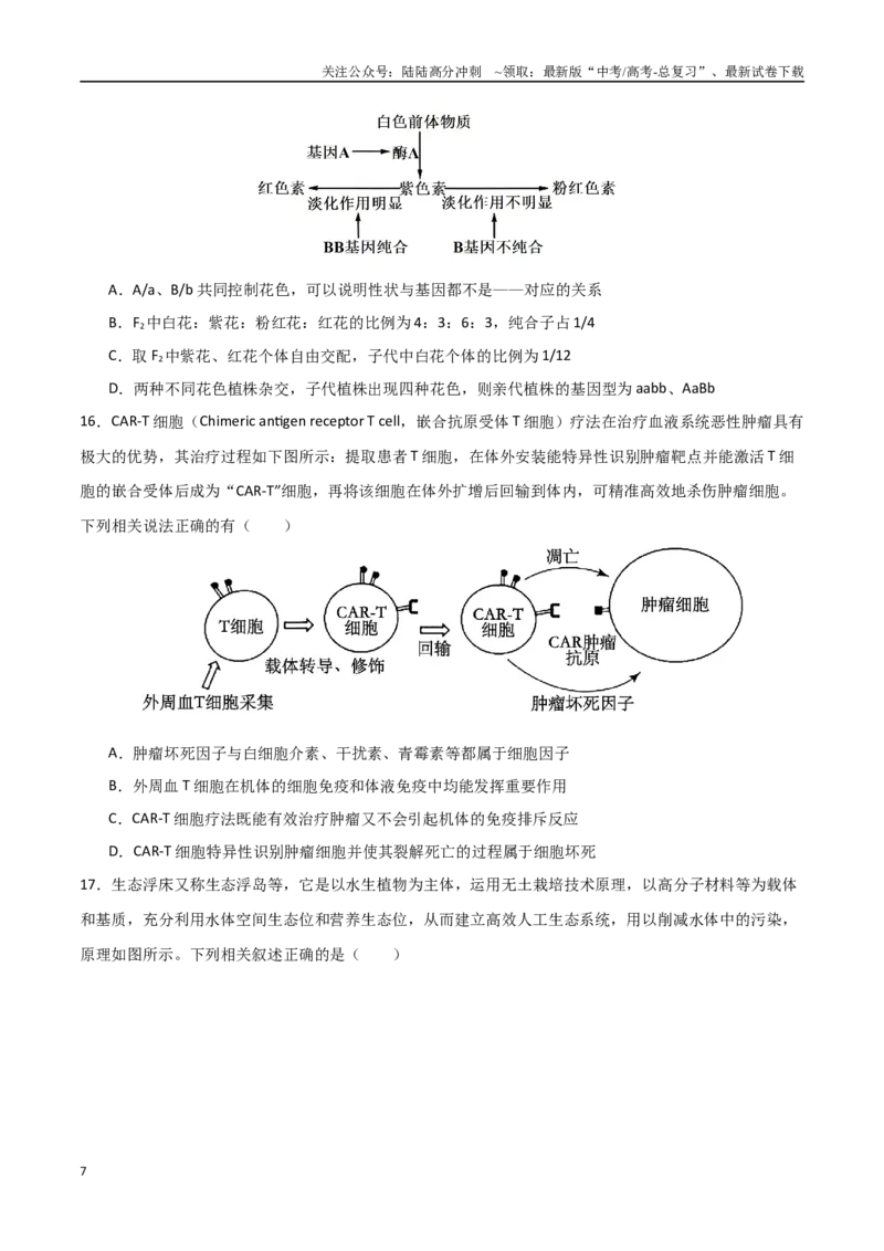 《生物（河北卷）（考试版）_06-生物-高考总复习_专项复习_2025年_2025年高考第一二三次模拟卷（多地区）生物_2025年高考生物第三次模拟考试21套_生物（河北卷）》第7页预览