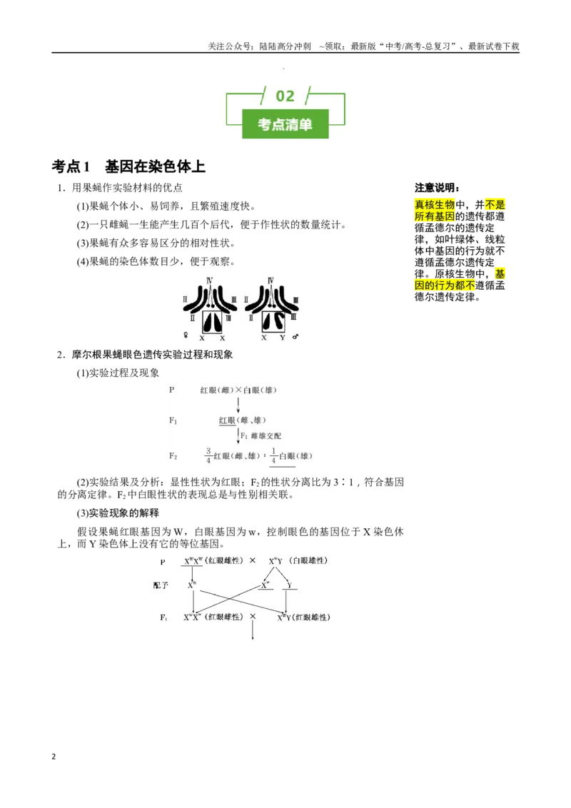 《知识清单13伴性遗传和人类遗传病（4大考点+6个易错点）_06-生物-高考总复习_一轮复习_2025年_2025年高考生物一轮复习知识清单（全国通用）》第2页预览