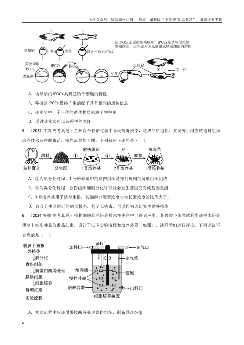 《专题19细胞工程（原卷版）_06-生物-高考总复习_专项复习_2025年_2025年高考生物重难点讲义专练（新高考通用）》第6页预览