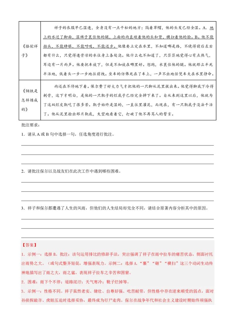 《统编2026年《暑假预习讲义》第05讲名著复习《骆驼祥子》《钢铁是怎样炼成的》（暑假复习讲义）（解析版）_26秋初中教辅资料_26秋初中《暑假预习》》第10页预览