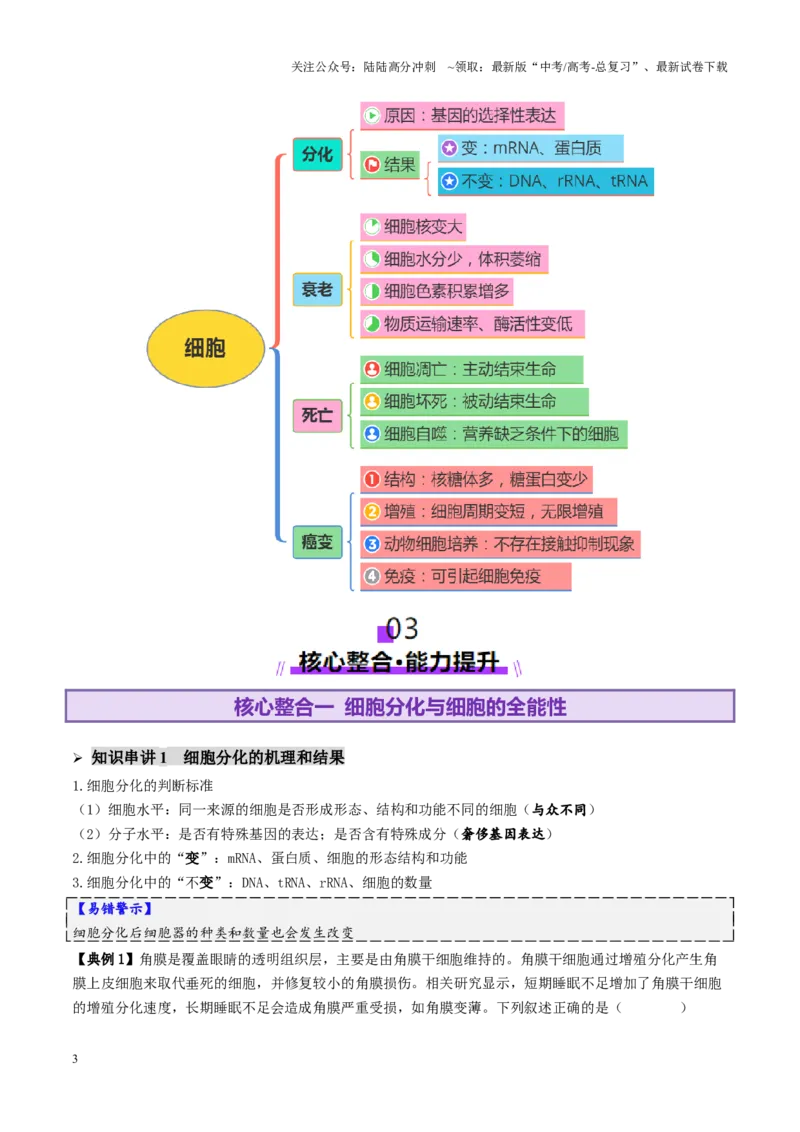 《第06讲细胞的分化、衰老、死亡和癌变（讲义）（学生版）_06-生物-高考总复习_二轮复习_2025年_2025年高考生物二轮复习课件+讲义+练习（新高考通用）》第3页预览