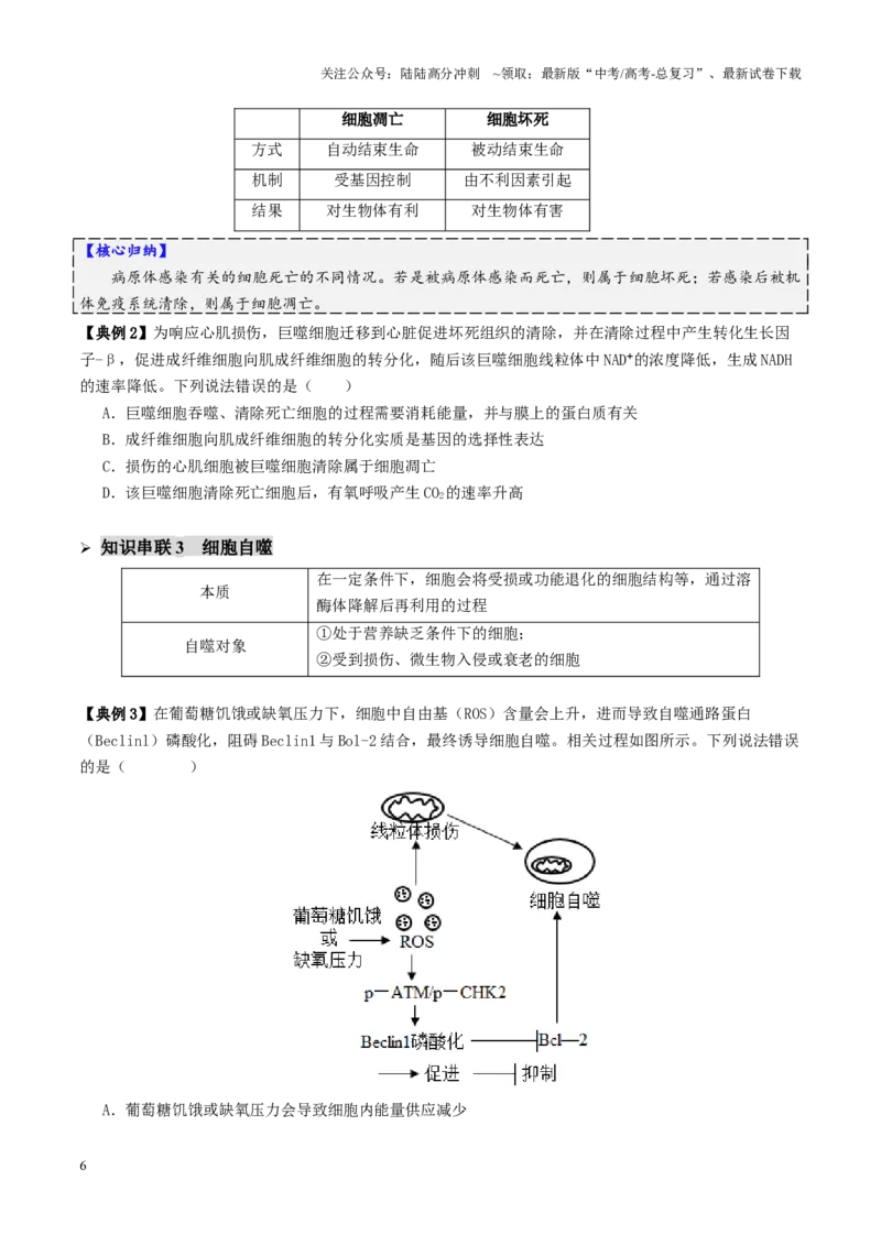 《第06讲细胞的分化、衰老、死亡和癌变（讲义）（学生版）_06-生物-高考总复习_二轮复习_2025年_2025年高考生物二轮复习课件+讲义+练习（新高考通用）》第6页预览