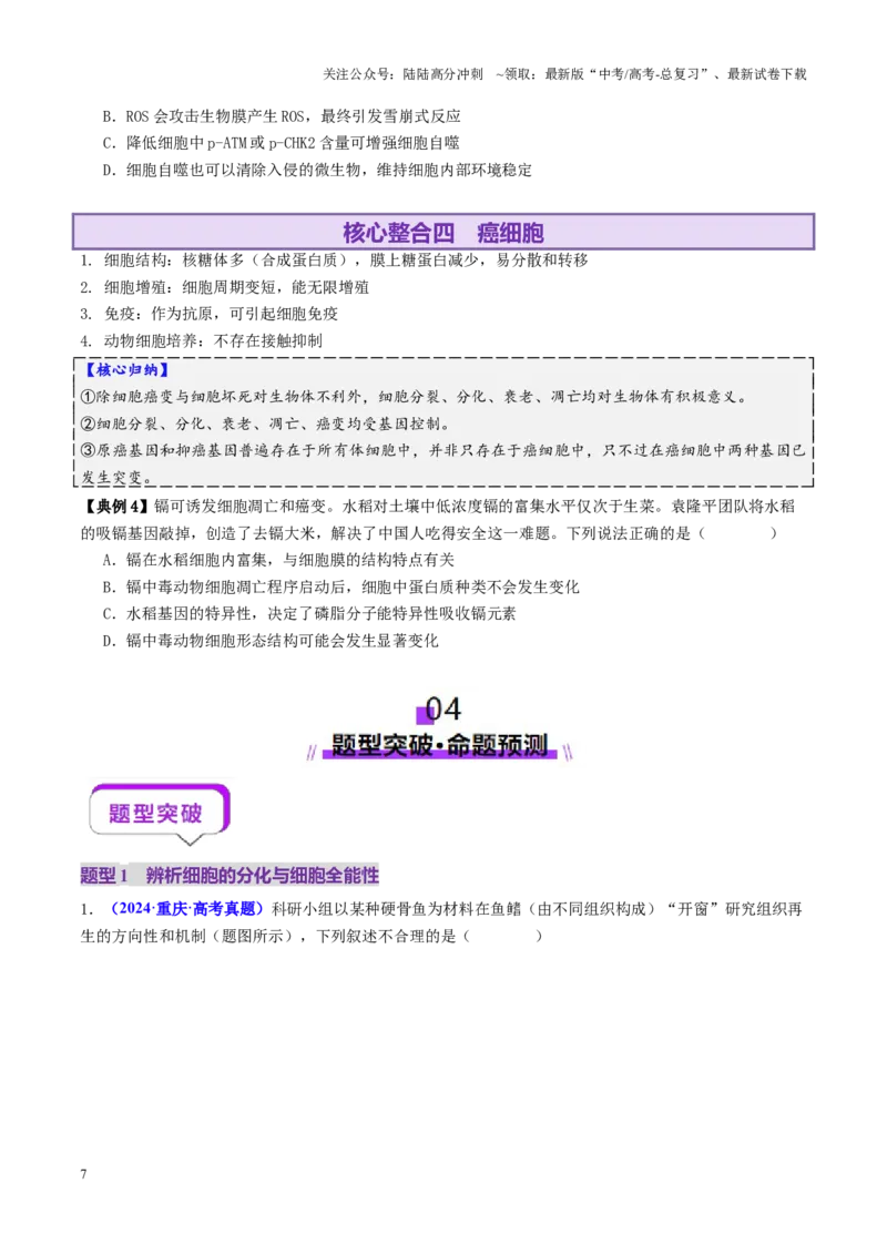 《第06讲细胞的分化、衰老、死亡和癌变（讲义）（学生版）_06-生物-高考总复习_二轮复习_2025年_2025年高考生物二轮复习课件+讲义+练习（新高考通用）》第7页预览