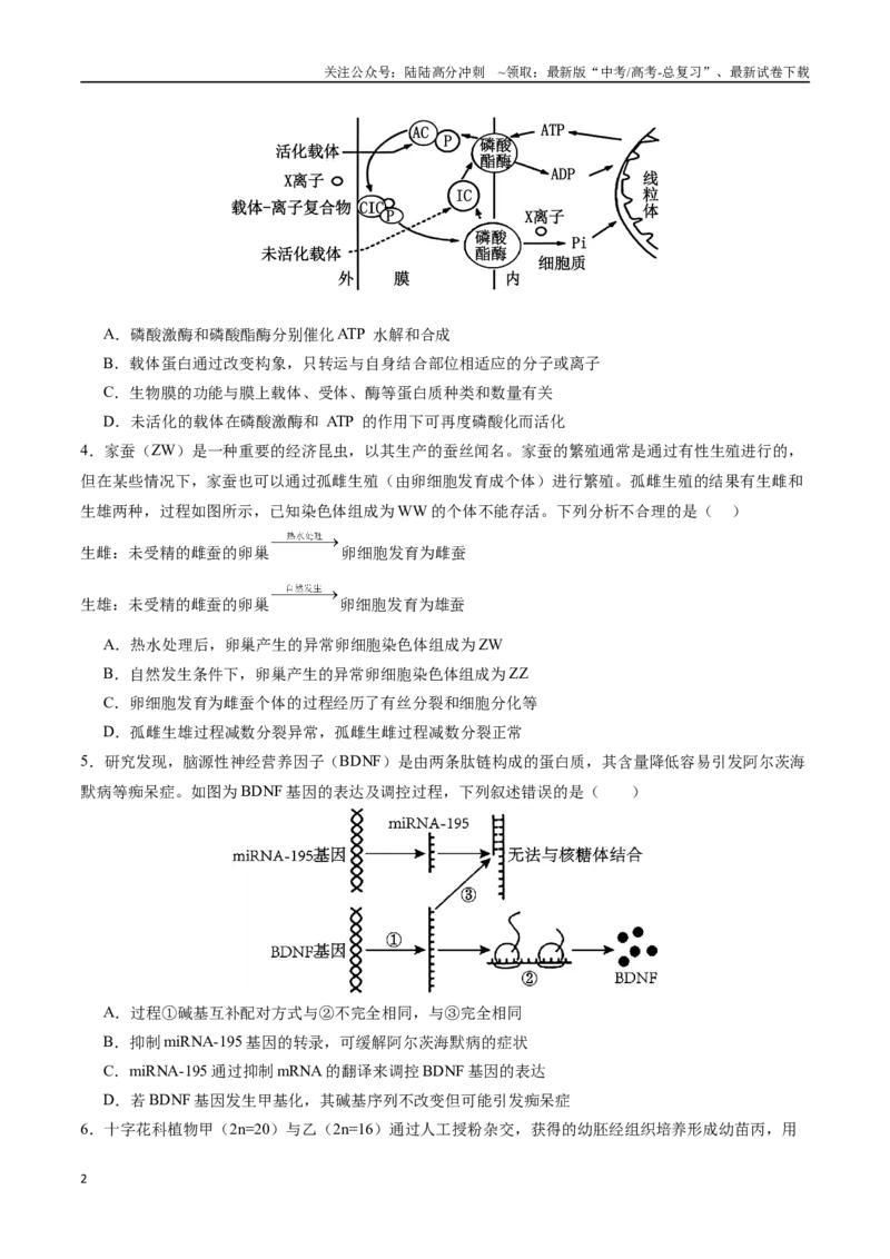 《生物（新八省通用卷02，15+5）（考试版）_06-生物-高考总复习_专项复习_2025年_2025年高考第一二三次模拟卷（多地区）生物_2025年高考生物第一次模拟卷24套》第2页预览